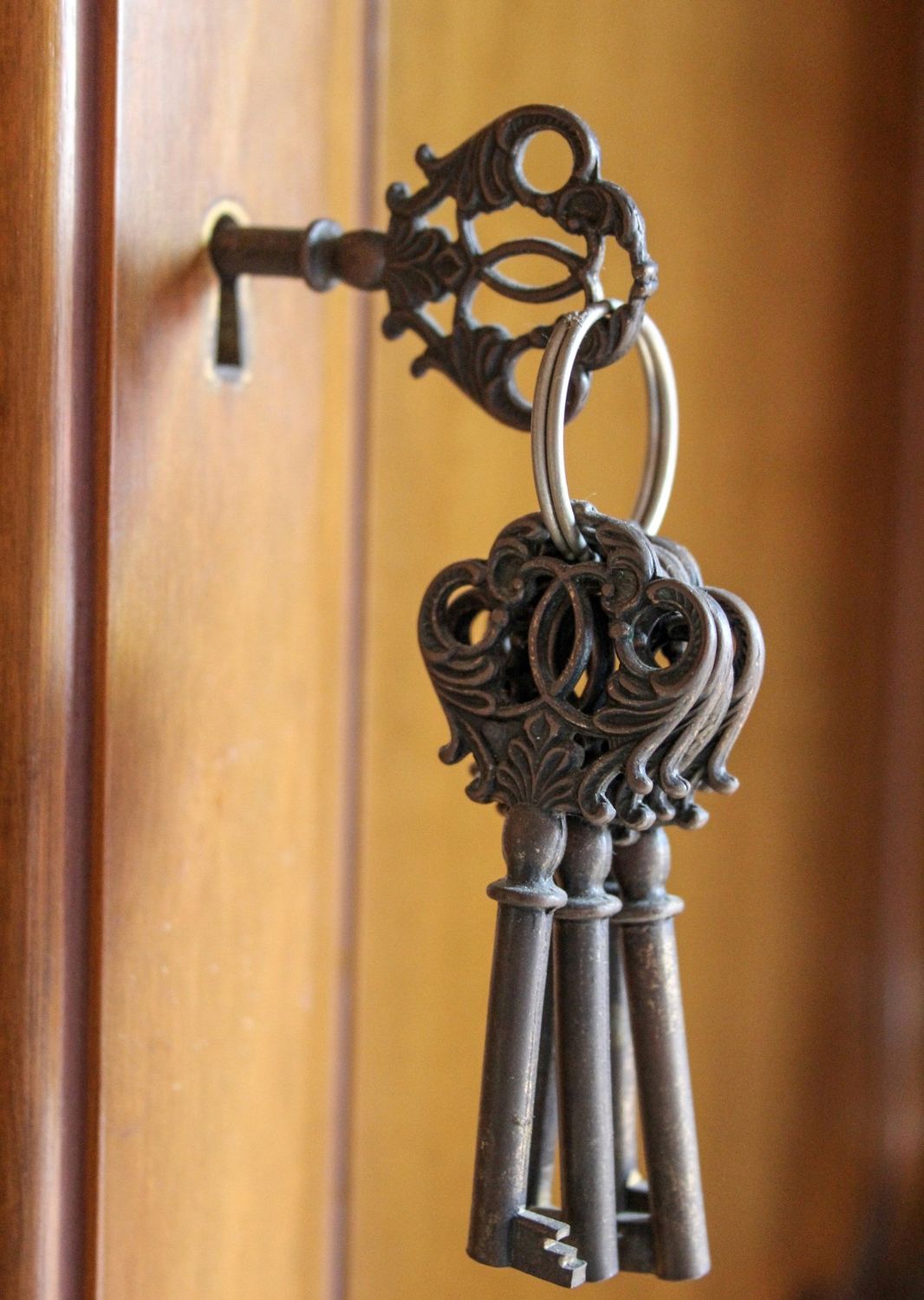 A ring of old keys hanging in a door